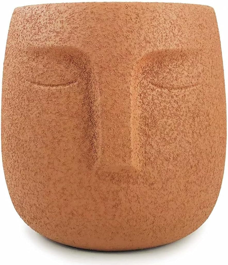 Brown Cement Head Planter - Unique Face Flower Pot with Drainage for Succulents and Plants