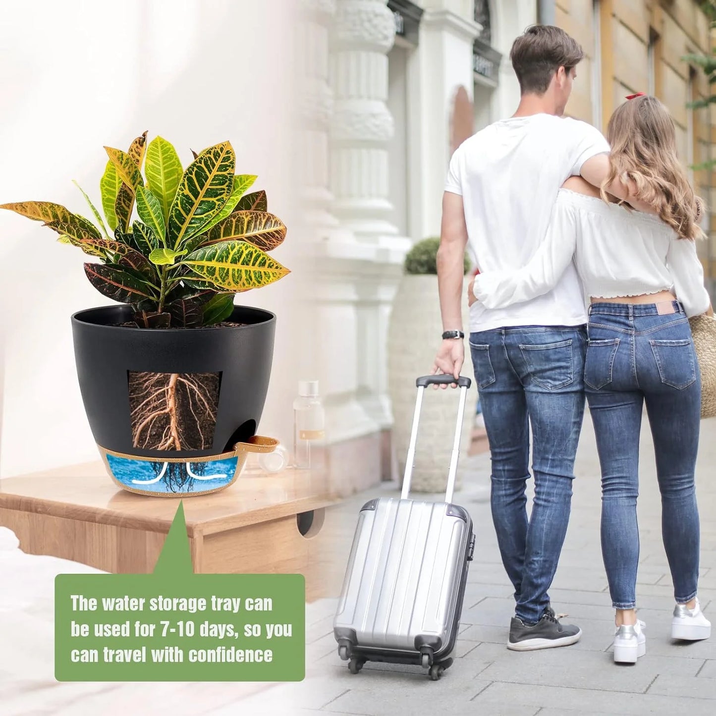 5Pack Self Watering Plant Pots with Drainage Hole and Water Storage, 7/6.5/6/5.5/5 Inch Self Watering Planters, Self-Watering Indoor Planters for Flower, Plants, Herbs, Cactus