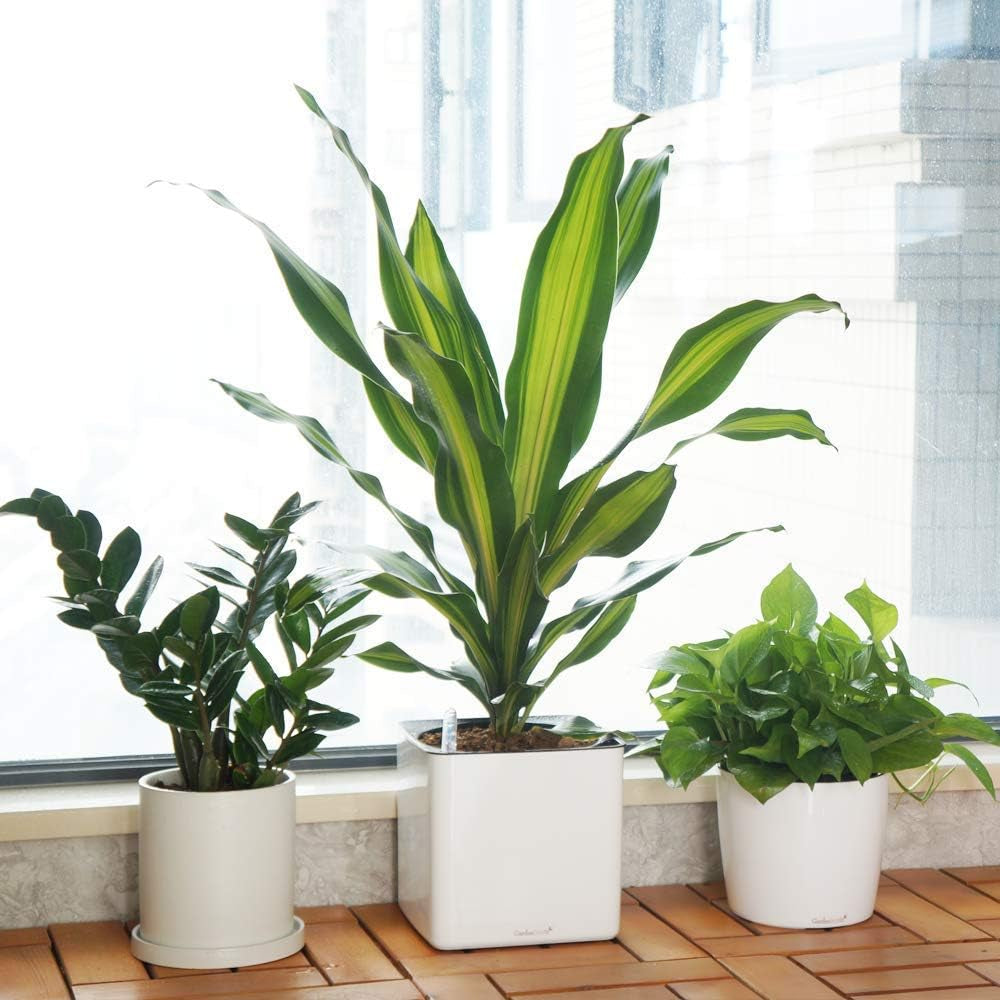 7'' round Self Watering Planter with Water Level Gauge Indoor Home Garden Modern Decorative Planter Pot for All House Plants Flowers Herbs Succulents (3, White Wthout Soil)
