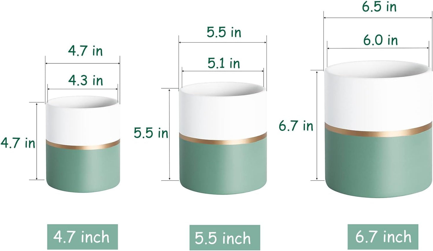Stylish 4.7 Inch Ceramic Plant Pots for Home & Office - Matte Finish with Drainage Hole (Green, White & Gold Stripe)