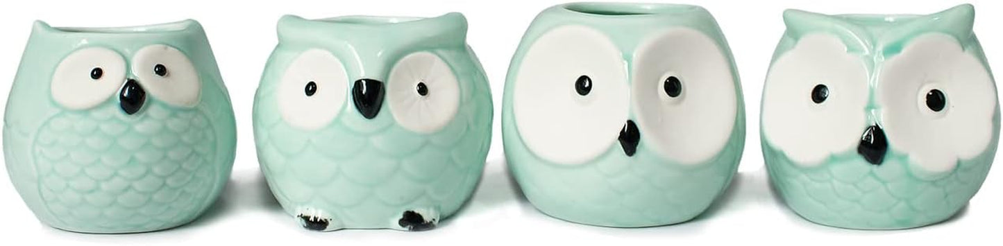 Adorable Set of 4 Turquoise Mini Owl Ceramic Succulent Planters
