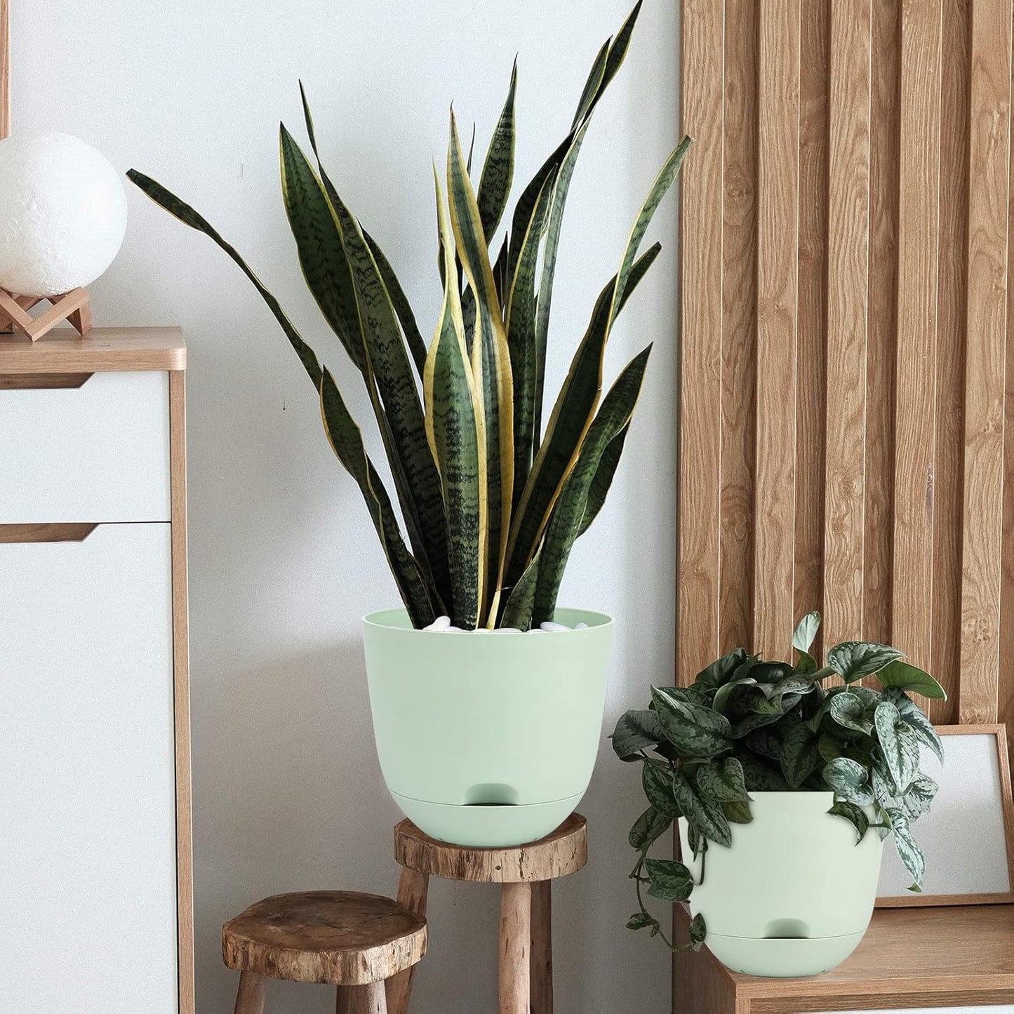 Detail shot highlighting the thickness and high quality of the 4mm plastic material of the durable planter.