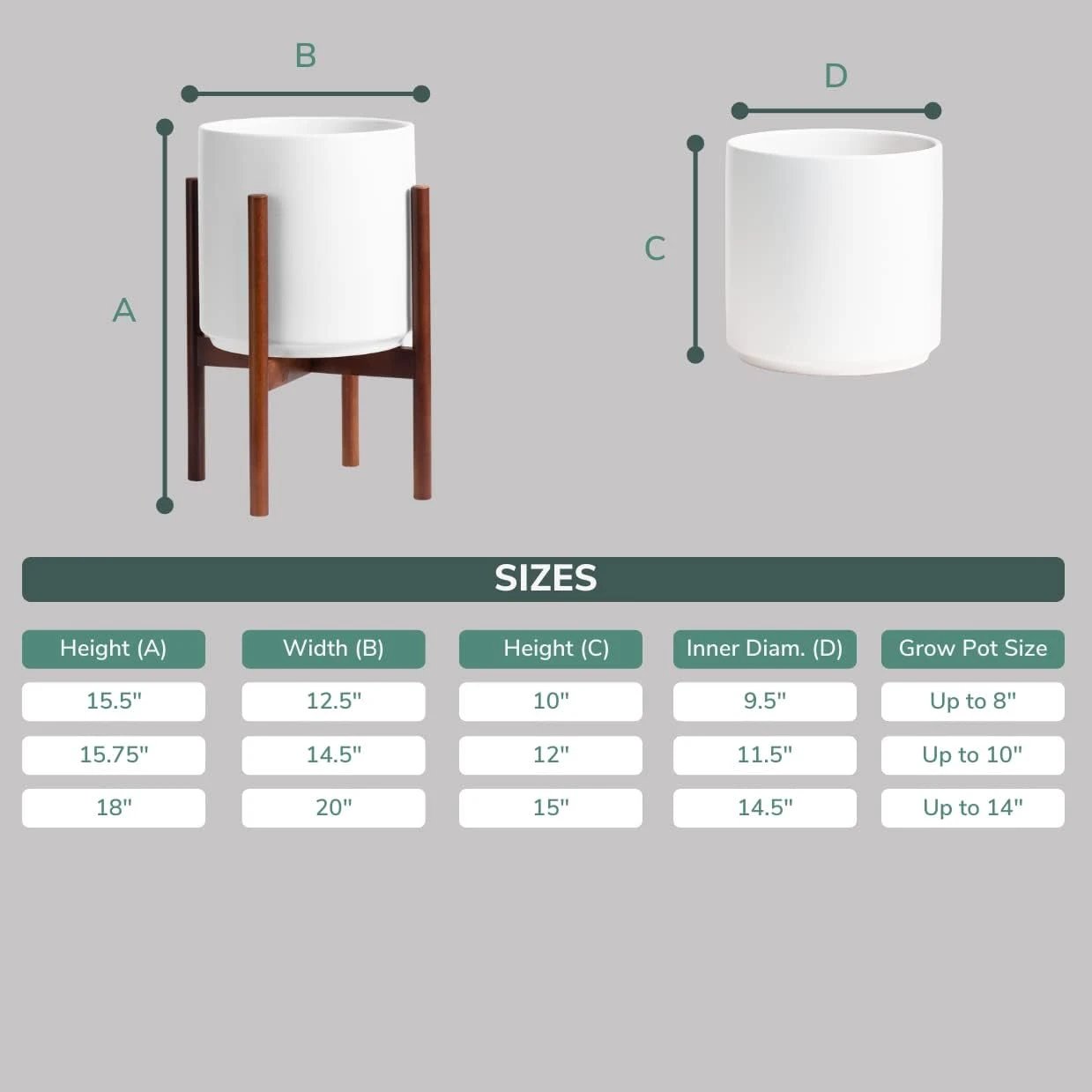 Easy-care white ceramic planter on a dark wood stand with four legs and cross braces. Modern minimal display. Shipped live by Plants & Roses Inc.
