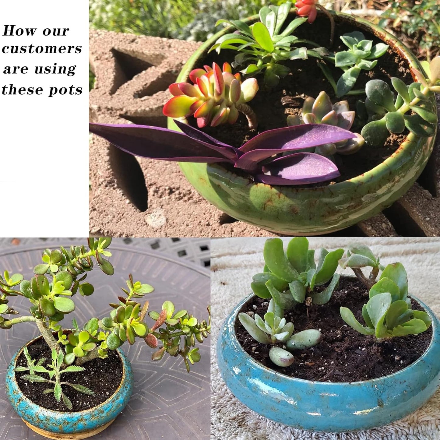 Succulent Pots - Large Succulent Planters Pots with Drainage, 10 Inch Ceramic Bonsai Pot with Stand round Shallow Planter for Indoor/Outdoor Plants Decorative Garden Cactus Flower Container Bowl
