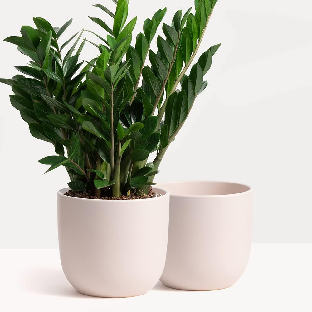 5 Inch (Set of Two) Pink Ceramic Planter. Contour Plant Pot for House Plants and Indoor Plants (Drainage + Stopper Included).