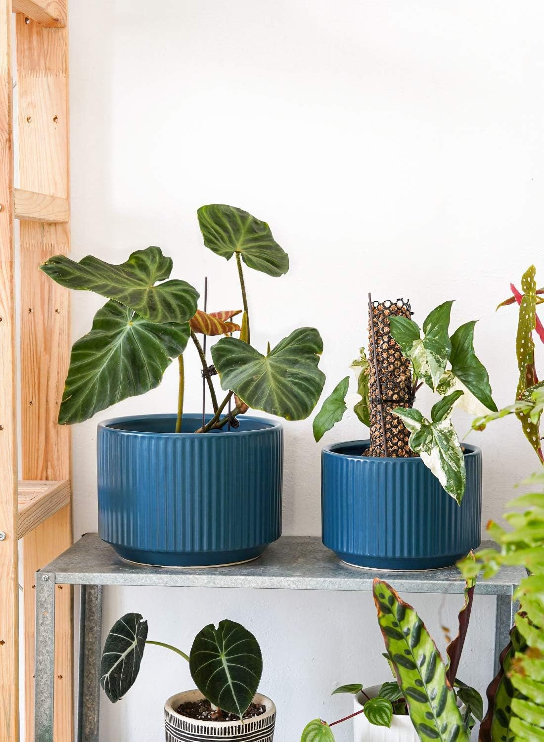 Elegant Navy Ceramic Plant Pots Set of 3 - Large Indoor/Outdoor Planters with Drainage Holes, Perfect for All Your Home & Garden Flowers