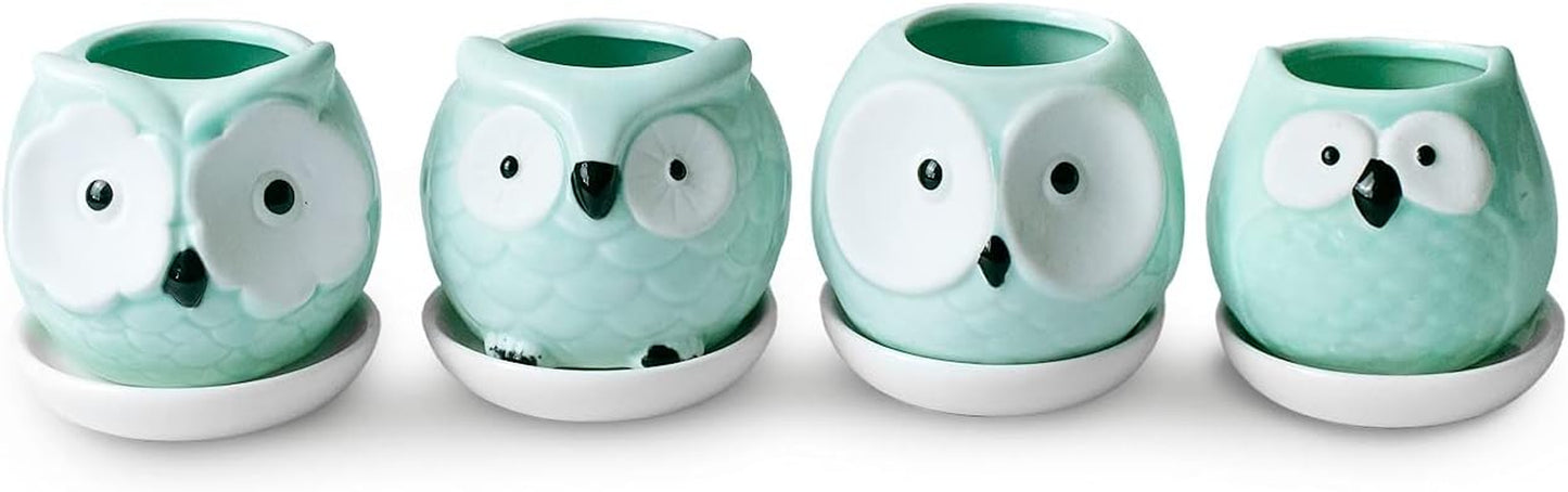 Adorable Turquoise Mini Owl Ceramic Succulent Planter Set of 4 with Drainage Hole & Saucer