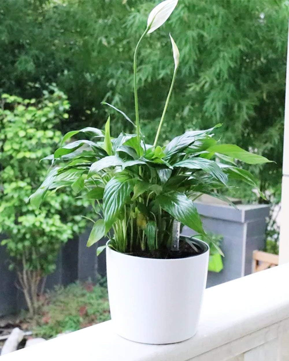 7'' round Self Watering Planter with Water Level Gauge Indoor Home Garden Modern Decorative Planter Pot for All House Plants Flowers Herbs Succulents (3, White Wthout Soil)