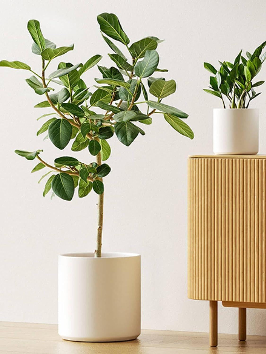 Set of 3 (10"+8"+6") Plant Pots with Drainage Hole & Plug for Indoor & Patio Decor, White Indoor Planters