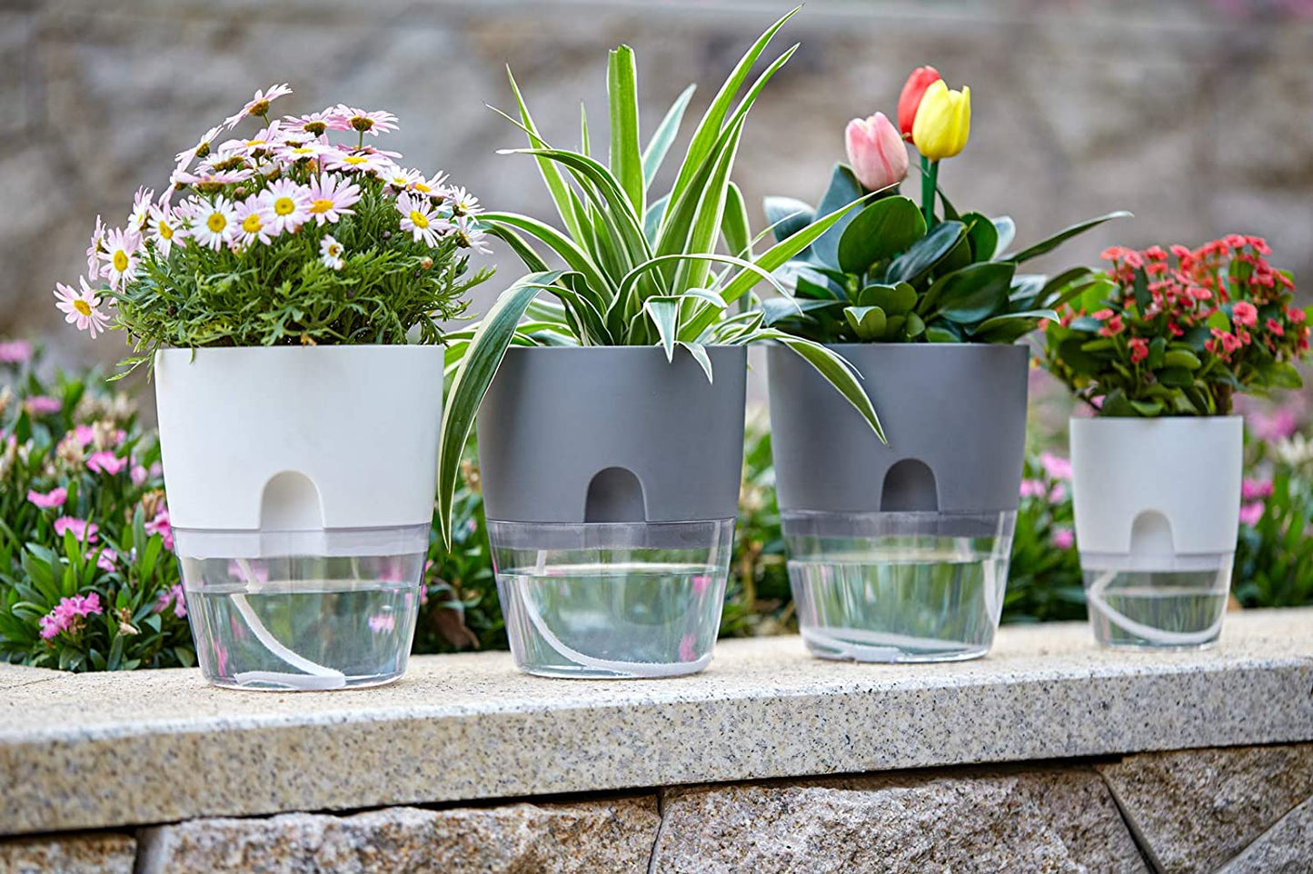A diagram or photo illustrating the double-layer design of the self-watering planter, highlighting the water reservoir and inner liner with wick.