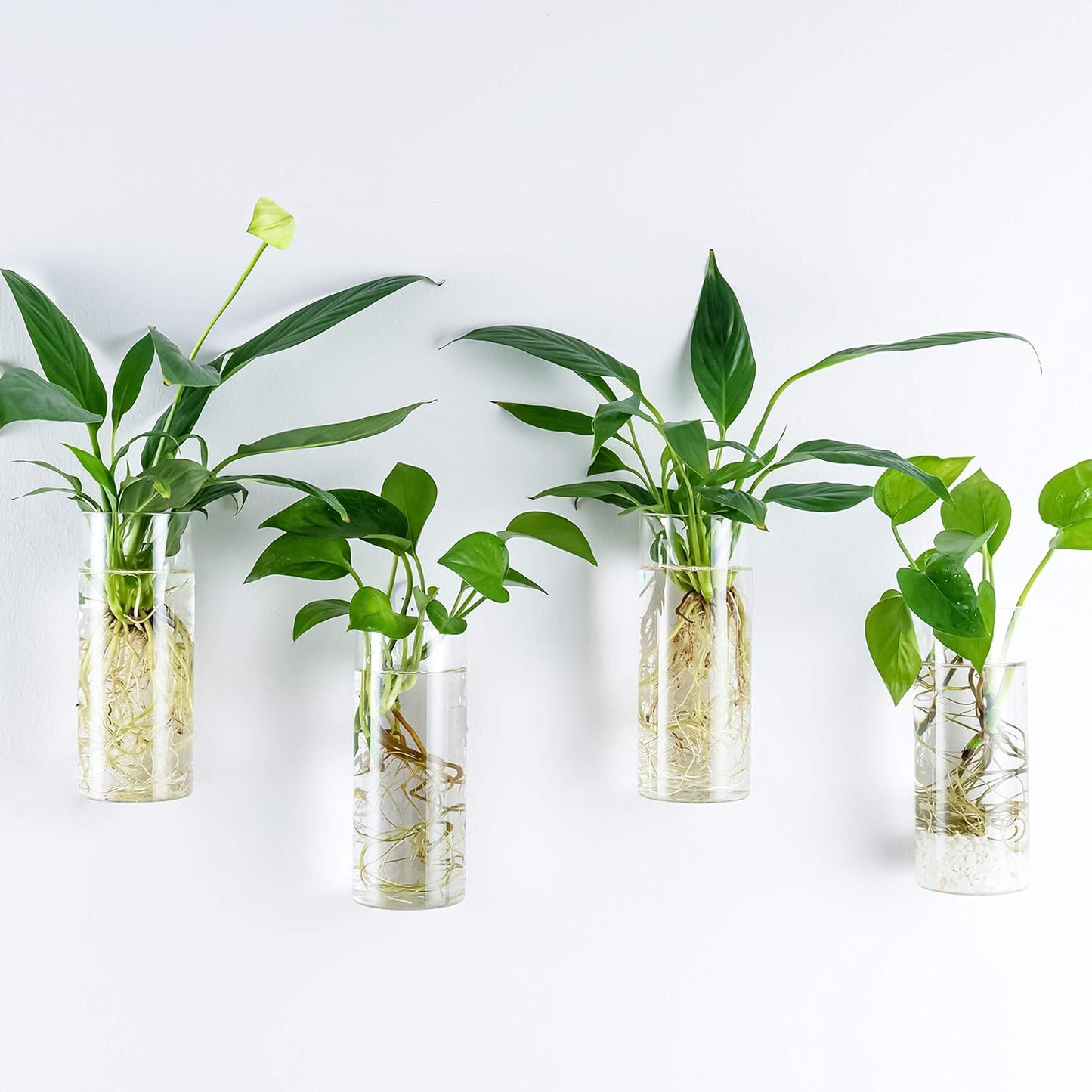 Glass Planter Terrarium Plant Propagation Station Wall Hanging for Home Office Decor, Medium Cylinder, 2 Pack