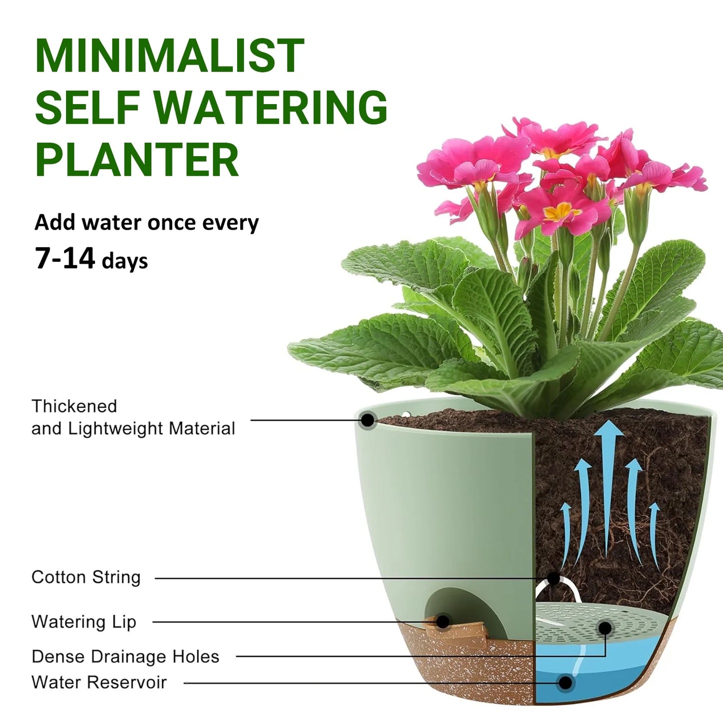 Set of 5 Green Self Watering Plastic Plant Pots with Drainage Holes - Eco-Friendly Indoor/Outdoor Flower Planters for Succulents, Cactus, Snake Plants - Sizes: 7", 6.5", 6", 5.5", 5"