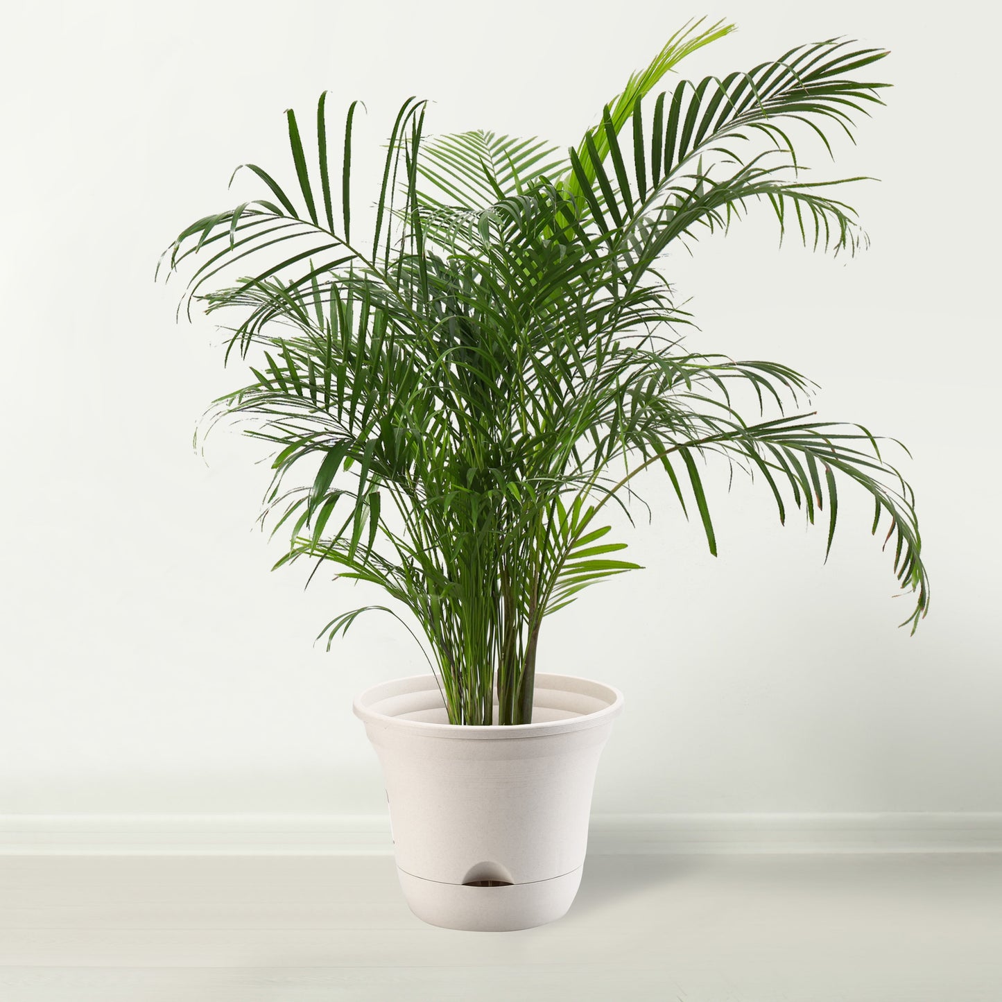 Lazy Planters - 14 Inch Large Self Watering Plant Pot Ivory - Large Frost Proof Plastic Planter - Indoor & Outdoor Extra Large (1 X 14")