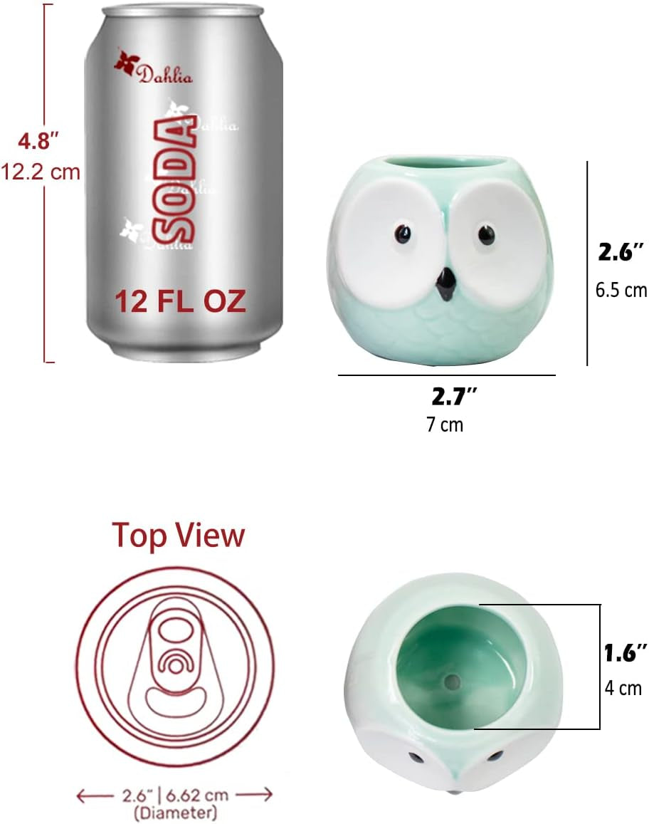 Adorable Turquoise Mini Owl Ceramic Succulent Planter Set of 4 with Drainage Hole & Saucer