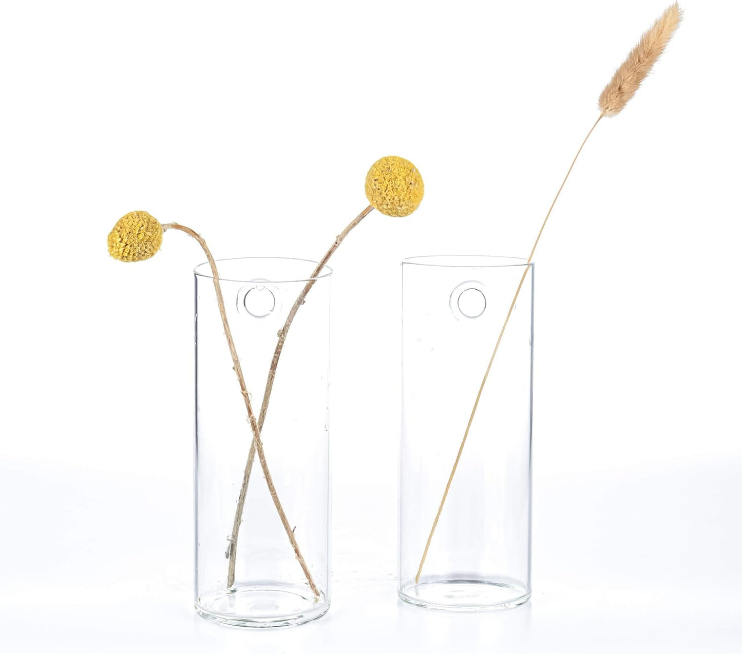 Detail shot highlighting the clear, high boron silicon heat-resistant glass material of the planter.