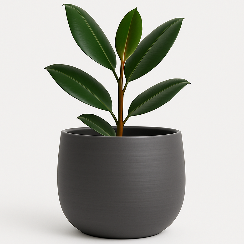 Modern Ceramic Pot – 12" Charcoal Gray