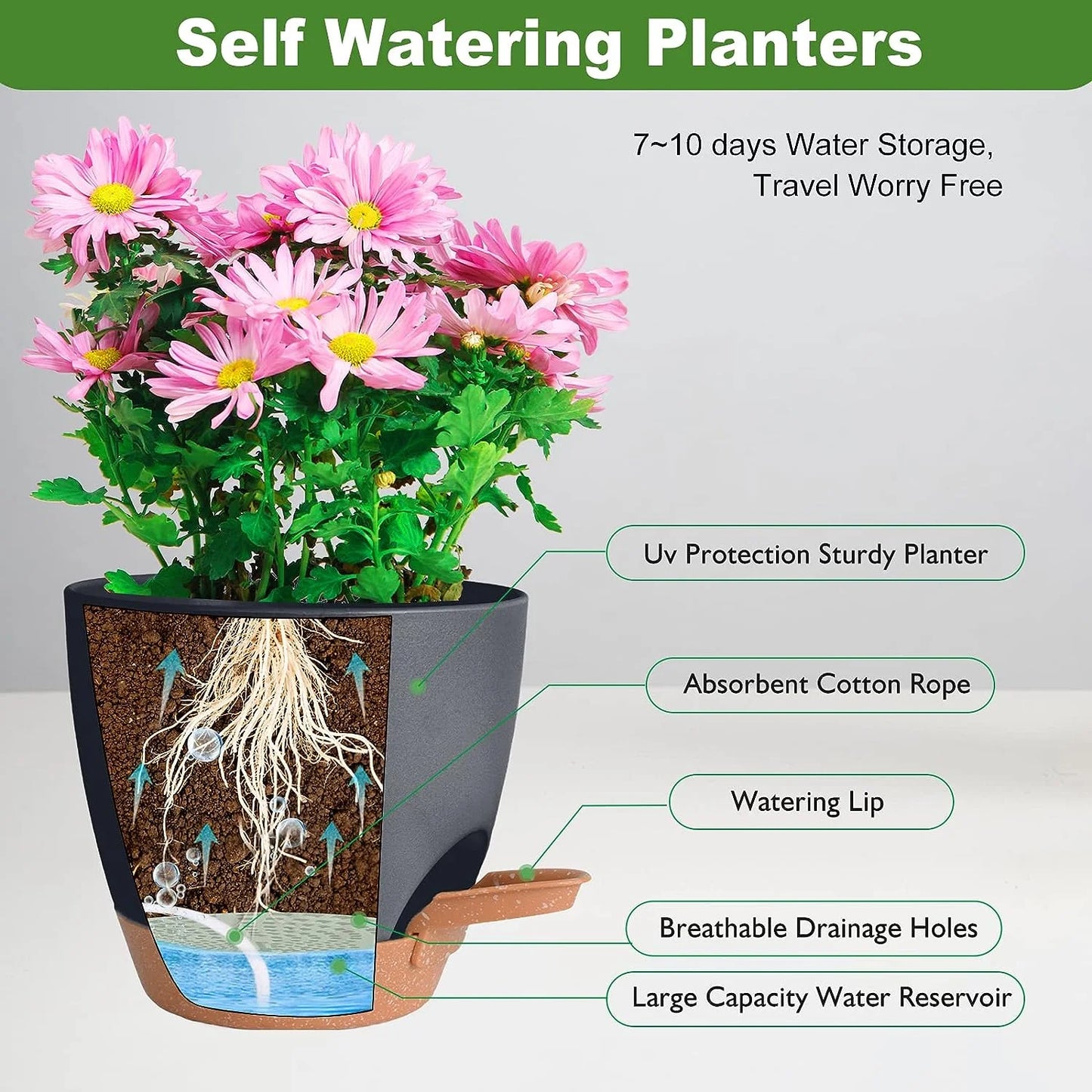 The self-watering planters displayed in different modern settings like an office desk, living room, or balcony with various plants.