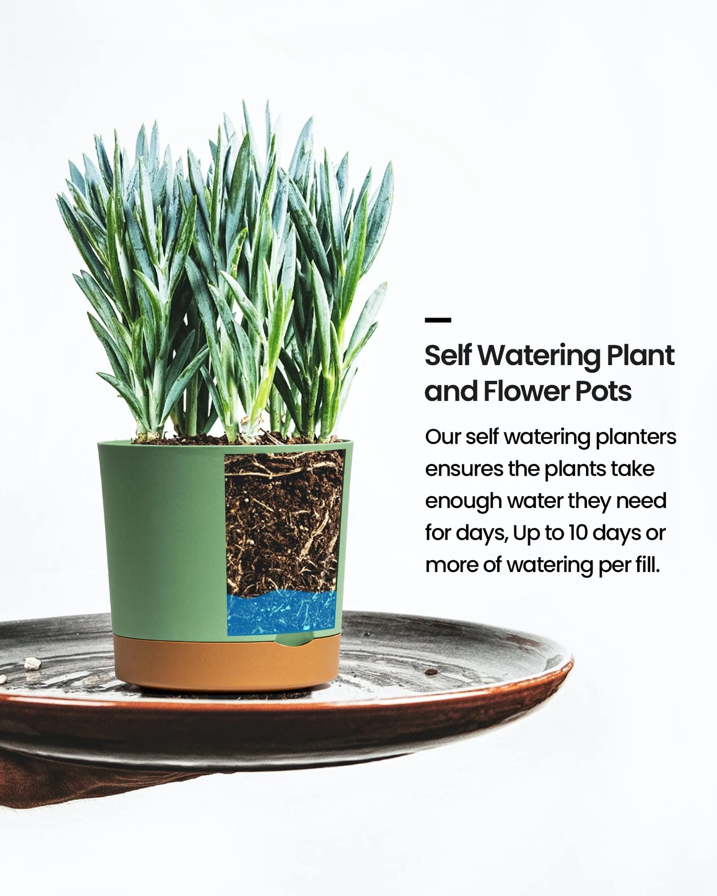 Various houseplants or flowers thriving in the white, green, and black self-watering pots, in an indoor or outdoor setting.