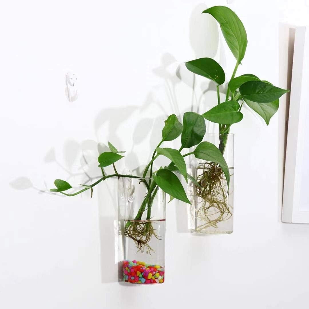 Close-up of the glass terrarium functioning as a plant propagation station with plant cuttings in water.