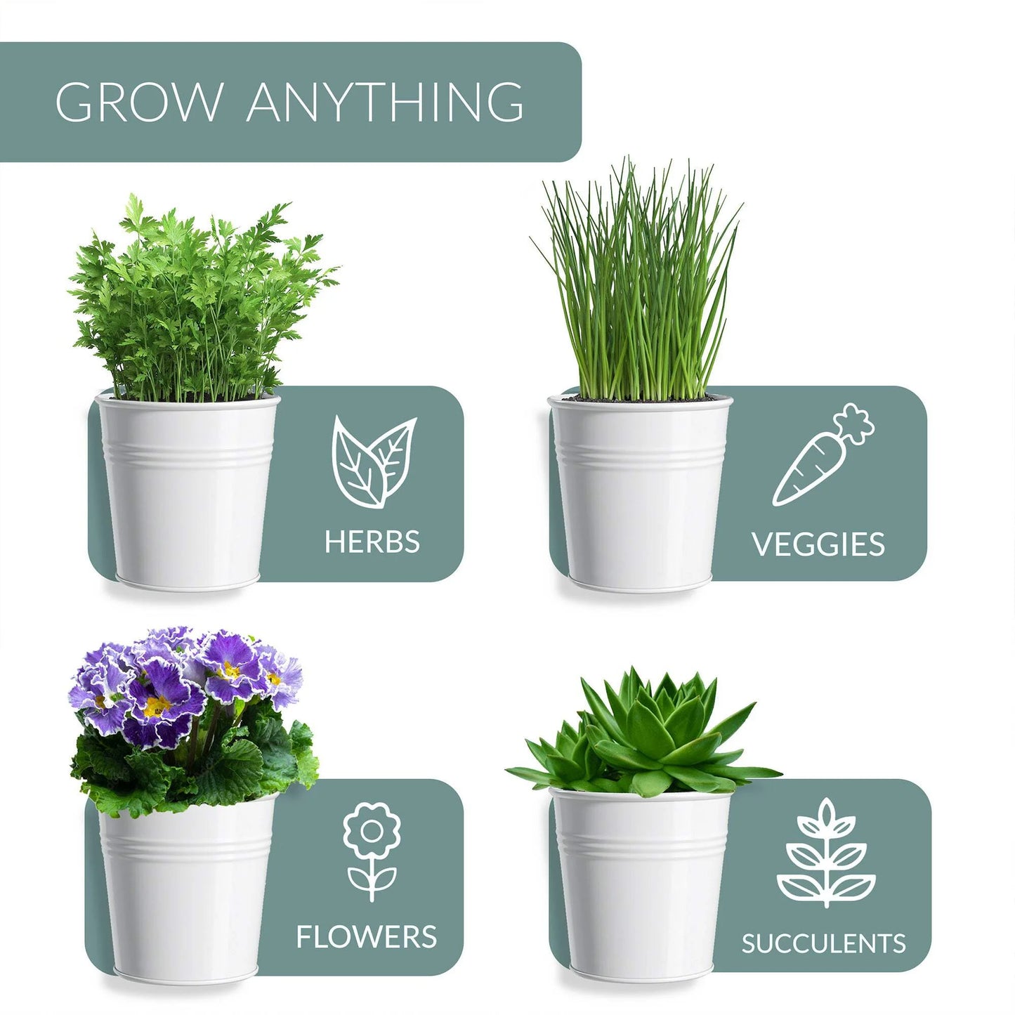 The three herb pots and tray laid out, with dimensions highlighted for both pots and tray.