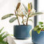 Elegant Navy Ceramic Plant Pots Set of 3 - Large Indoor/Outdoor Planters with Drainage Holes, Perfect for All Your Home & Garden Flowers