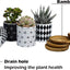 Set of 4 Stylish Ceramic Succulent Planter Pots with Drain Holes & Bamboo Trays – Perfect for Indoor & Outdoor Cacti and Flowers