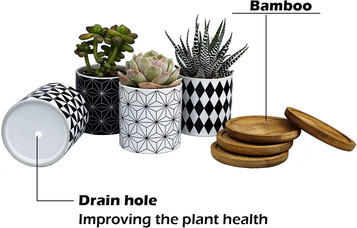 Set of 4 Stylish Ceramic Succulent Planter Pots with Drain Holes & Bamboo Trays – Perfect for Indoor & Outdoor Cacti and Flowers