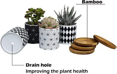 Set of 4 Stylish Ceramic Succulent Planter Pots with Drain Holes & Bamboo Trays – Perfect for Indoor & Outdoor Cacti and Flowers