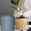Matte Grey Ceramic Cylinder Plant Pot with Drainage, 1 Pack 8 Inch Large Ceramic Modern round Planter Pot, Glazed Flower Pots with Removable Rubber Plug for Indoor Outdoor Plant