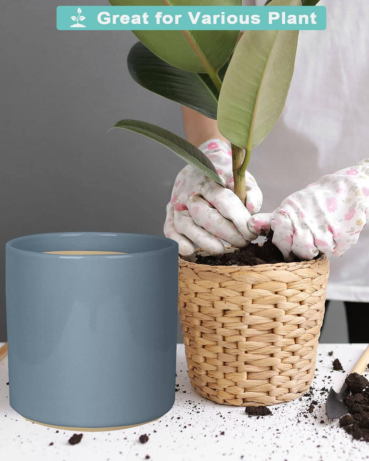 Matte Grey Ceramic Cylinder Plant Pot with Drainage, 1 Pack 8 Inch Large Ceramic Modern round Planter Pot, Glazed Flower Pots with Removable Rubber Plug for Indoor Outdoor Plant