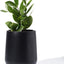 Stylish Black Glazed Ceramic Planter Pots - 5.3 Inch with Drainage Hole & Saucer for Indoor Plant Decor (Plants Not Included)