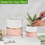 4 Inch Plant Pot - Ceramic Flower Planters Indoor - Modern Succulents Containers with Drain Hole Saucer, Decorate Home, Office & Outdoor (Pink)