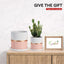 4 Inch Plant Pot - Ceramic Flower Planters Indoor - Modern Succulents Containers with Drain Hole Saucer, Decorate Home, Office & Outdoor (Pink)