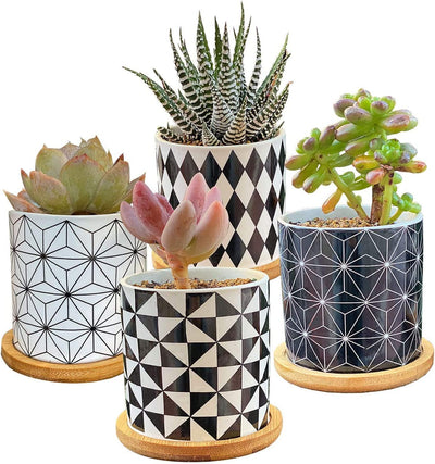 Set of 4 Stylish Ceramic Succulent Planter Pots with Drain Holes & Bamboo Trays – Perfect for Indoor & Outdoor Cacti and Flowers