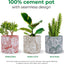 Stylish Monstera Cement Planter - 6 Inch Decorative Pot with Drainage for Indoor & Outdoor Plants - Unique Flower Pot Design (Plants Not Included)