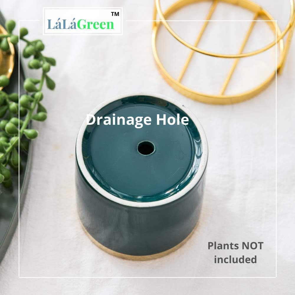 Charming 3.2 Inch Green Succulent Pot with Elegant Metal Stand - Perfect Mini Planter for Bedroom & Bathroom Decor, Unique Table Centerpiece