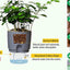 Self Watering Pots for Indoor Plants, 5 Pack 6/4.1/3.2 Inch Flower Pot Modern Decorative Plastic Planter with Extra Large Water Storage for All House Plants, Flowers, Herbs(White)