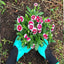 Claw Gardening Gloves for Planting, Garden Glove Claws for Women