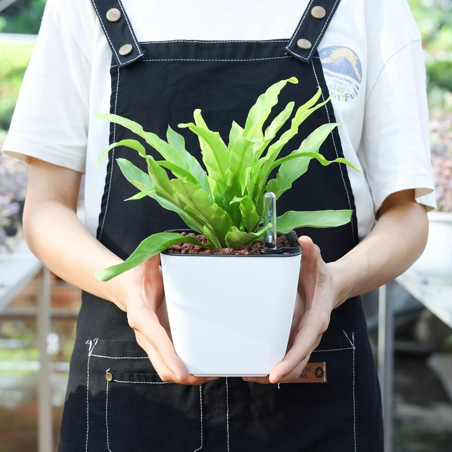 5.5 Inch Self Watering Plastic Planter with Water Level Indicator Pack of 6 - Matte White, Modern Decorative Planter Flower Pot for House Plants, Flowers, Herbs, African Violets,