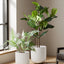 10" Ceramic Plant Pots, Indoor Planter with Drainage Hole & Plug, Ceramic Planter for Outdoor Decorative, White Planter