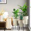 Decorative cachepot planters for living room décor

