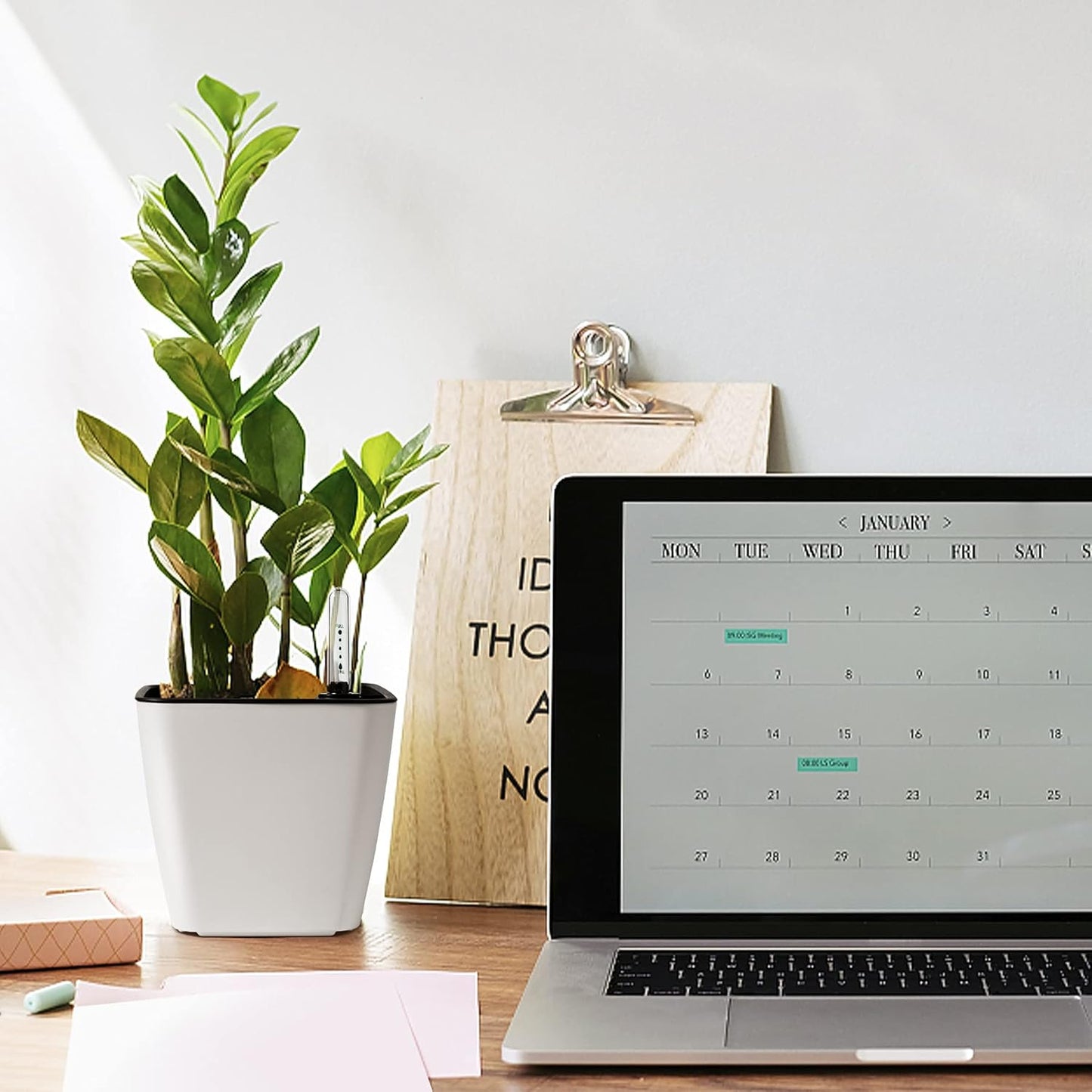 5.5 Inch Self Watering Plastic Planter with Water Level Indicator Pack of 6 - Matte White, Modern Decorative Planter Flower Pot for House Plants, Flowers, Herbs, African Violets,