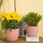 Chic Pink Ceramic Plant Pots - Set of 6.5" & 5.5" Indoor Planters with Drainage Holes