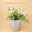 Plant Watering Globes Self Watering Planter Insert Glass Spikes, Hand Blown Clear Automatic Water Bulbs for Outdoor&Indoor Plants, 6.4Oz/190Ml Capacity, 3 Cats