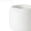 Head Design Planter Pot with Drainage Hole, Elegant Cement Face Planter for Flower (Grey)