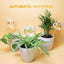 Plant Watering Globes Self Watering Planter Insert Glass Spikes, Hand Blown Clear Automatic Water Bulbs for Outdoor&Indoor Plants, 6.4Oz/190Ml Capacity, 3 Cats
