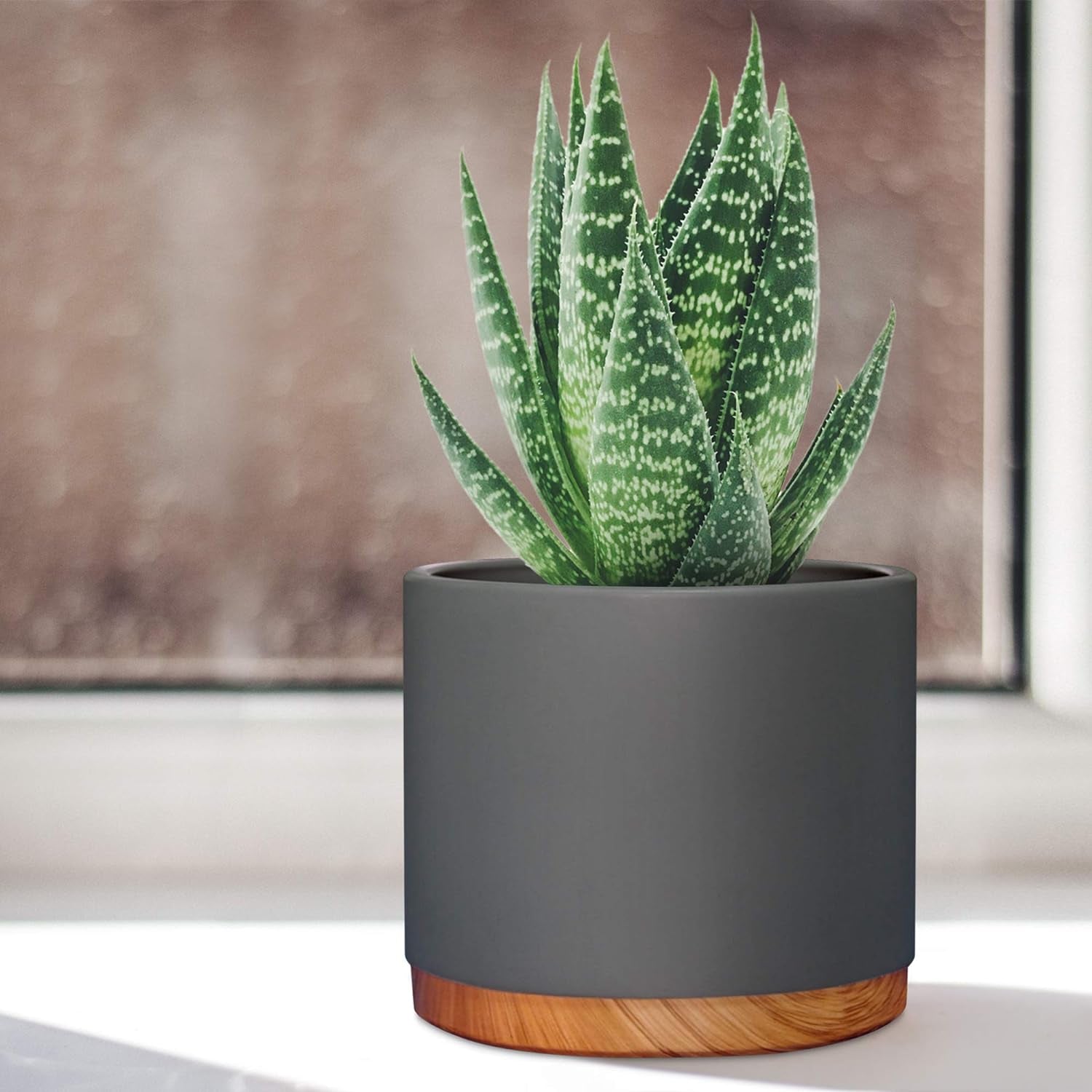 6 Inch Pot Perfect for Indoor Planter Pots- This Ceramic Planter Are Indoor Pots for Plants with Drainage Good as Orchid Pots with Holes- 6 in Planter Used as Ceramic Flower Pot - Plant Not Included