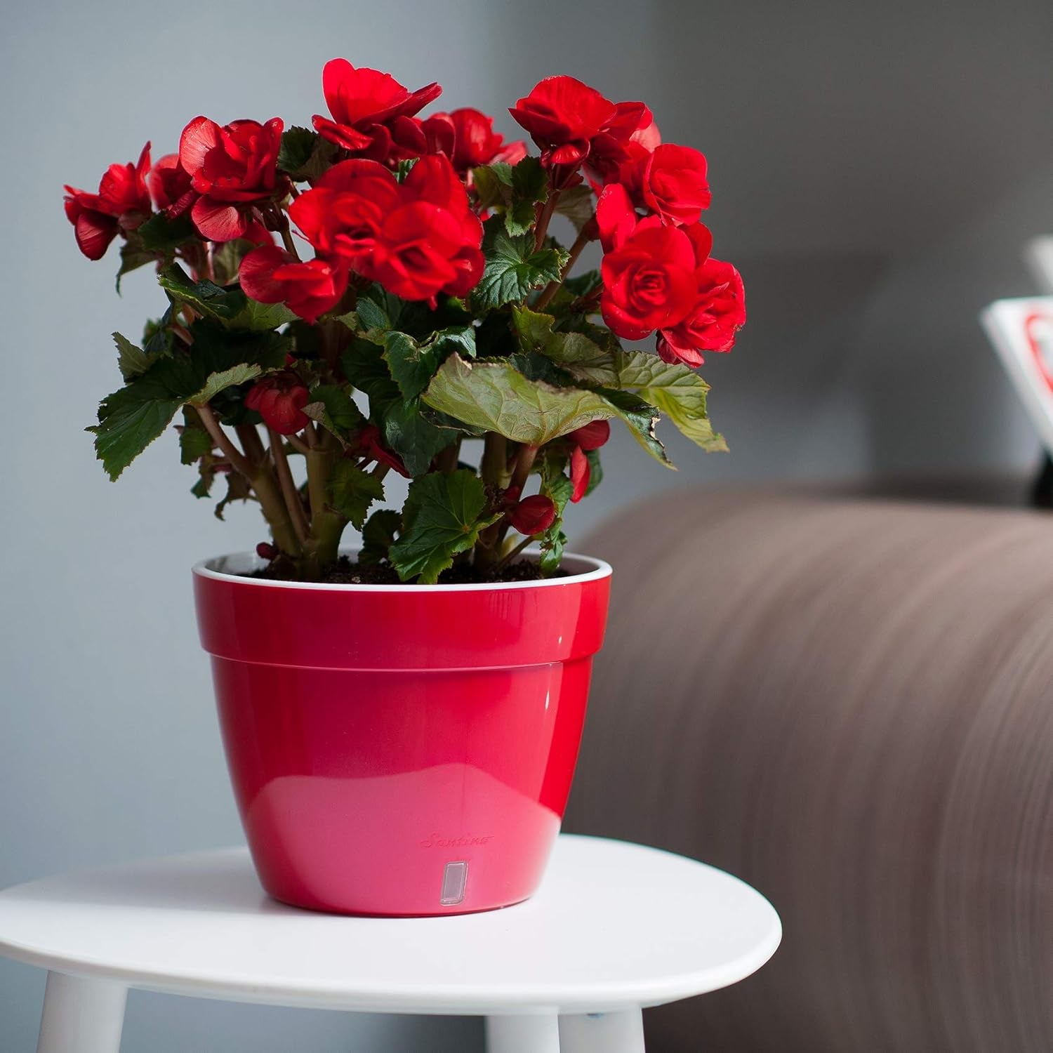 - Self Watering Planter - Modern Flower Pot with Water Level Indicator for All House Plants, Flowers, Herbs (Diameter 7.9", Gold/Black)