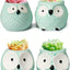 Adorable Set of 4 Turquoise Mini Owl Ceramic Succulent Planters