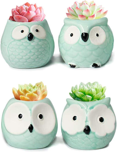 Adorable Set of 4 Turquoise Mini Owl Ceramic Succulent Planters